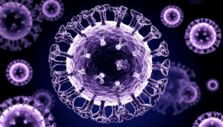 Вирус гриппа