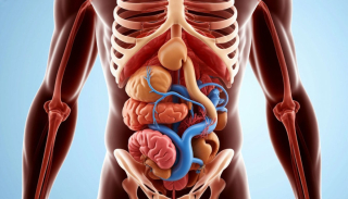 Лечение панкреатита