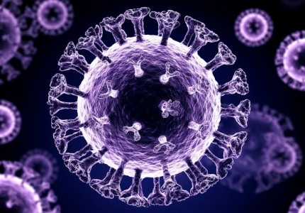 Вирус гриппа