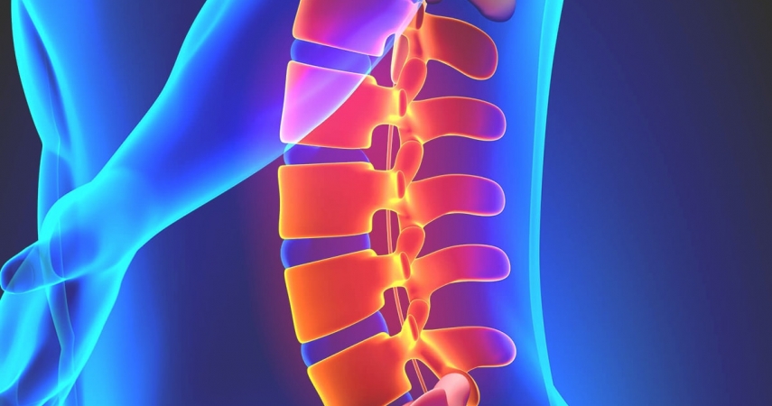 МРТ пояснично-крестцового отдела позвоночника в Москве