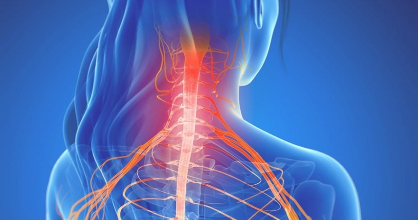 МРТ плечевых нервных сплетений